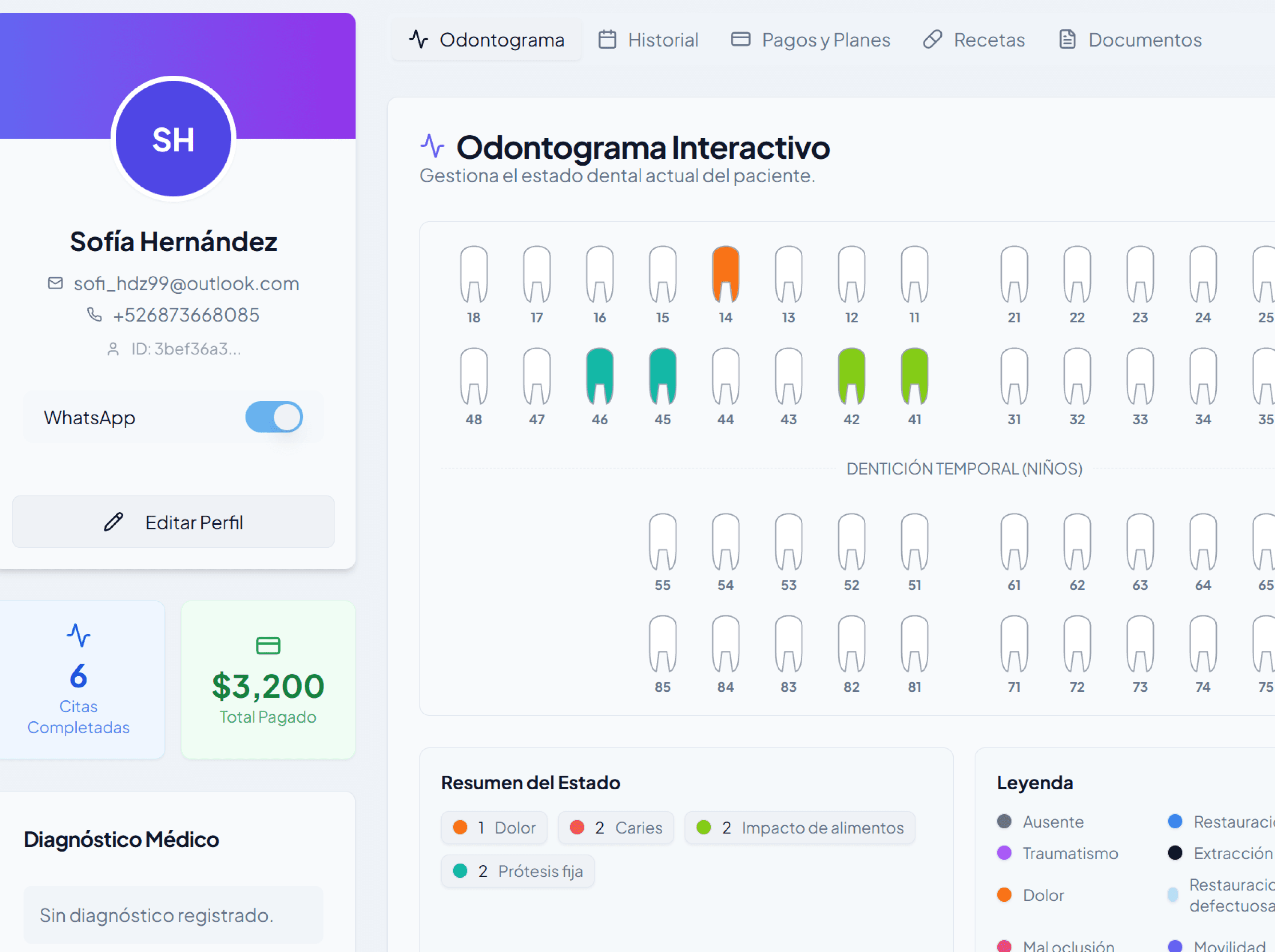 Registro Clínico Digital Preview Light